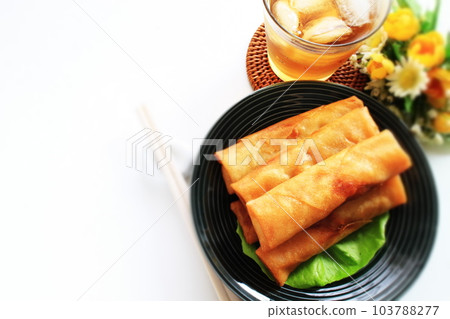 Spring roll dish Spring roll dish 103788277
