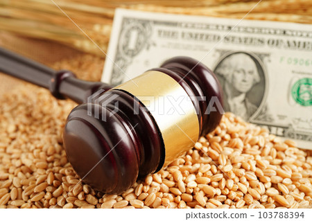 Wheat grains with US dollar banknotes, trade export and economy concept. 103788394