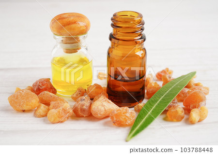Frankincense or olibanum aromatic resin used in incense and perfumes. Frankincense or olibanum aromatic resin used in incense and perfumes. 103788448