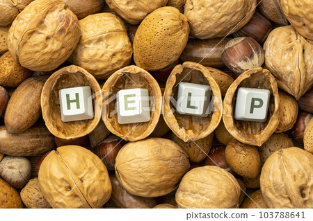 The inscription HELP on the computer keyboard, found inside a walnuts The inscription HELP on the computer keyboard, found inside a walnuts 103788641