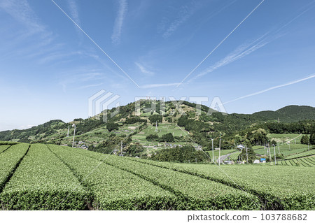 Tea plantation in Kakegawa City, Shizuoka Prefecture and letters of tea on the summit of Mt. Awagatake 103788682