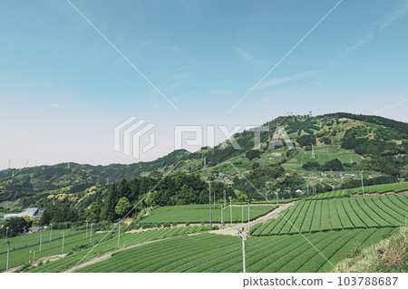 靜岡縣掛川市的茶園和粟嶽山頂的茶字 103788687