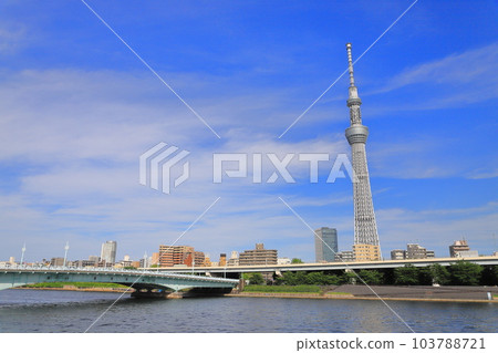 Sumida River, Kototoi Bridge and Tokyo Sky Tree seen from Sumida Park Sumida River, Kototoi Bridge and Tokyo Sky Tree seen from Sumida Park 103788721