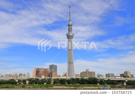 從墨田公園看到的隅田川、琴問橋和東京晴空塔 103788725