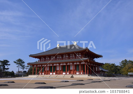 奈良興福寺中近堂 103788841