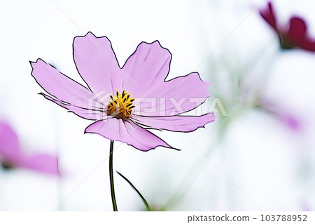 柔和的風格“波斯菊在清新的微風中飄揚”插圖圖像 柔和的風格“波斯菊在清新的微風中飄揚”插圖圖像 103788952