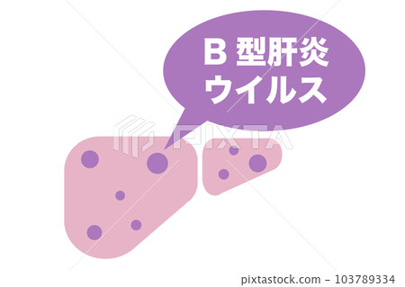 Illustration of liver infected with hepatitis B virus 103789334