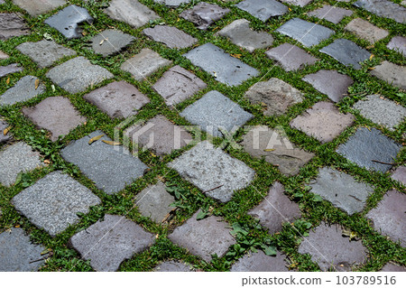 Cobblestone on the road with green grass. Background image on the theme of urban planning, vintage, travel Cobblestone on the road with green grass. Background image on the theme of urban planning, vintage, travel 103789516