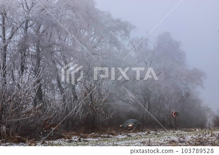 Winter landscape frozen road with meadow and trees, plenty of snow 103789528
