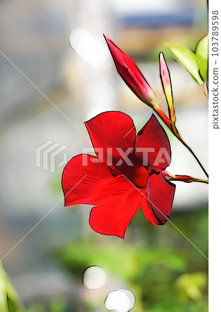 Pastel style "bright red flower" sun parasol "illustration image 103789598