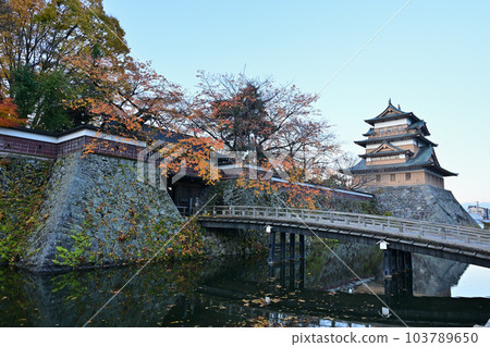 高島城和歌舞伎橋 高島城和歌舞伎橋 103789650
