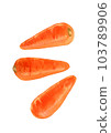 hand painted carrot watercolor 103789906