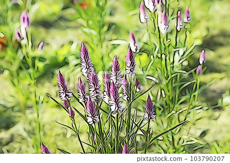 Pastel style "Nogeitou in full bloom: wild chicken head" illustration image 103790207