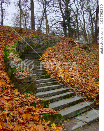 Autumn staircase 103790830