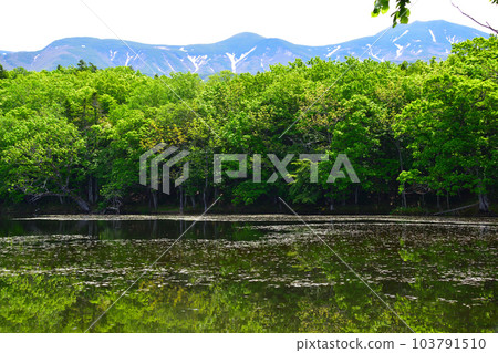 Shiretoko-Goto Lake Four Lakes 103791510