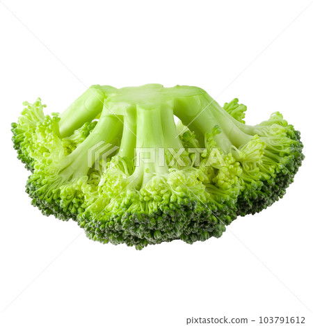 Fresh broccoli blocks for cooking isolated on a white background. Fresh broccoli blocks for cooking isolated on a white background. 103791612