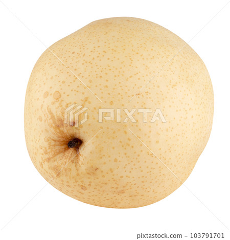 Fresh oriental pear isolated on a white background Fresh oriental pear isolated on a white background 103791701