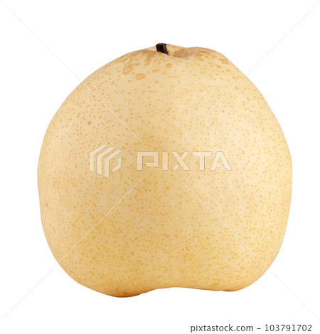 Fresh oriental pear isolated on a white background Fresh oriental pear isolated on a white background 103791702