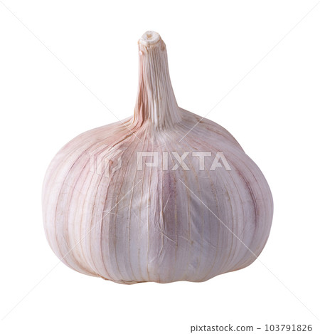 Close up raw garlic isolated on a white background 103791826