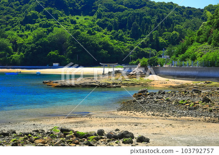 [Ehime Prefecture] Torii at Misaki Shrine in sunny weather 103792757