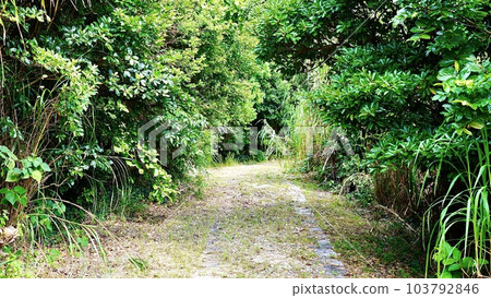 Samure Road on Izena Island, Okinawa Prefecture 103792846