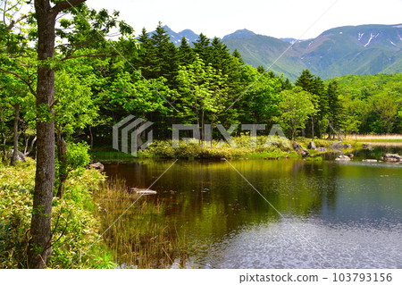 Shiretokogo湖兩個湖泊 Shiretokogo湖兩個湖泊 103793156