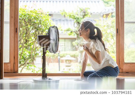 A woman cool with a fan 103794181