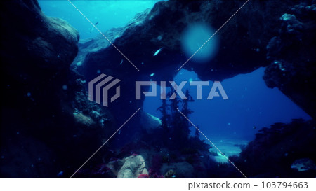 Wonderful and beautiful underwater world with corals and tropical fish 103794663