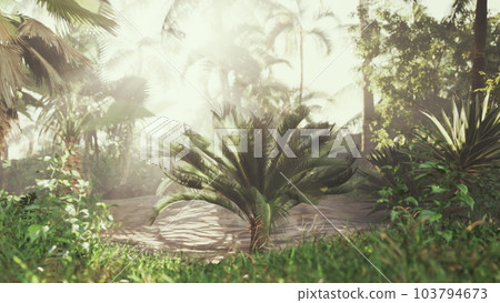 Brilliant sun rays shining through exotic palm tree Brilliant sun rays shining through exotic palm tree 103794673