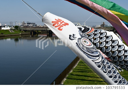 Carp Streamers of Shinnaka River Carp Streamers of Shinnaka River 103795533