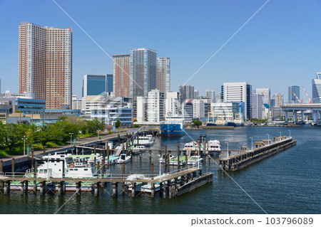 Tokyo Bay coastal scenery Tokyo Bay coastal scenery 103796089