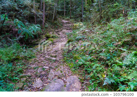 岡山縣赤岩市熊山登山路鵝卵石 103796100