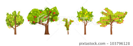 Fruit and Berry Tree and Bush with Green Crown and Trunk Vector Set 103796128