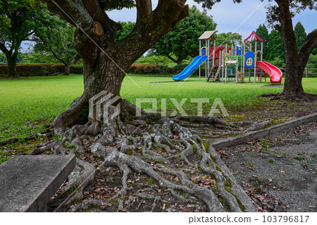 Kiyomizugaoka Park (Miyazatocho, Satsumasendai City, Kagoshima Prefecture) playground equipment 103796817