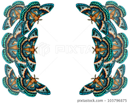 Frame with blue green moth watercolor illustration isolated on white background. Hand painted clip art imperial night butterfly. Insect for the design of stationery, posters, wallpaper 103796875