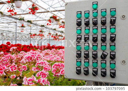 Electrical irrigation control panel in a modern greenhouse for growing flowers Electrical irrigation control panel in a modern greenhouse for growing flowers 103797095