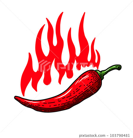 Set of illustrations of chilli peppers with flame of fire in engraving style. Design element for emblem, sign, poster, card, banner, flyer. Vector illustration 103798481