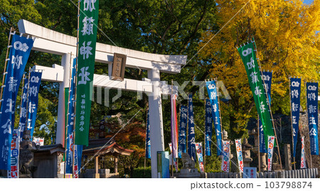 Shrine torii and ginkgo tree scenery ``Photographed in the clear autumn season'' (Kumamoto Castle Kato Shrine) Shrine torii and ginkgo tree scenery ``Photographed in the clear autumn season'' (Kumamoto Castle Kato Shrine) 103798874