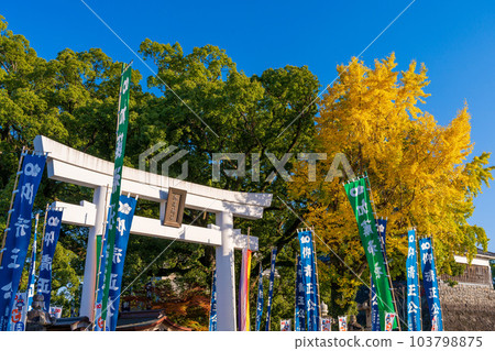 Shrine torii and ginkgo tree scenery ``Photographed in the clear autumn season'' (Kumamoto Castle Kato Shrine) Shrine torii and ginkgo tree scenery ``Photographed in the clear autumn season'' (Kumamoto Castle Kato Shrine) 103798875