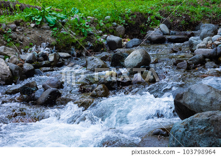 Mountain stream Mountain stream 103798964