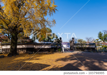 A ginkgo tree dyed in autumn colors against a blue sky ``Kumamoto Castle Hosokawa Gyobutei'' 103798995