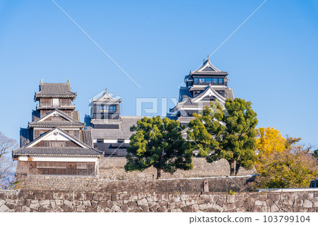 Kumamoto Castle (castle tower, Uto turret) scenery that shines in autumn leaves "Photographed in the season of clear autumn weather" Kumamoto Castle (castle tower, Uto turret) scenery that shines in autumn leaves "Photographed in the season of clear autumn weather" 103799104