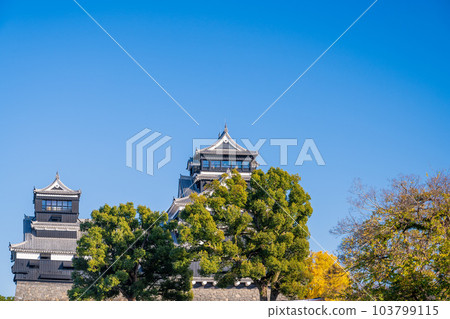 Kumamoto Castle (castle tower, Uto turret) scenery that shines in autumn leaves "Photographed in the season of clear autumn weather" Kumamoto Castle (castle tower, Uto turret) scenery that shines in autumn leaves "Photographed in the season of clear autumn weather" 103799115