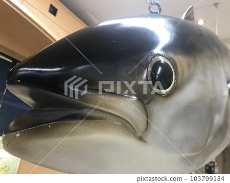 giant tuna giant tuna 103799184