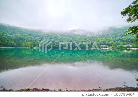 Shibireko_No6 Shibireko_No6 103799404