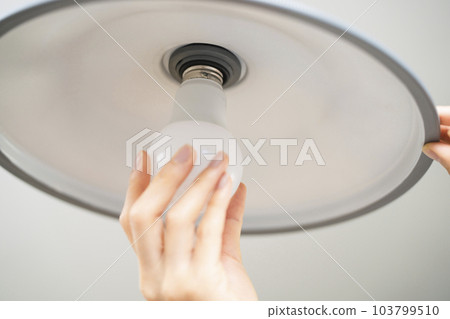 Young woman exchanging light bulbs Lifestyle image Young woman exchanging light bulbs Lifestyle image 103799510