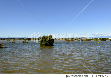 2019 East Japan typhoon, Saiko Doman Green Park submerged due to flood control effect 103799747