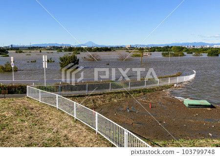 2019年東日本颱風，西湖道萬綠色公園因防洪效果被淹沒 103799748