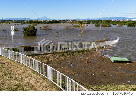 2019年東日本颱風，西湖道萬綠色公園因防洪效果被淹沒 103799749