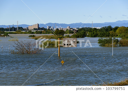 2019年東日本颱風,西湖道萬綠色公園因防洪效果被淹沒 2019年東日本颱風,西湖道萬綠色公園因防洪效果被淹沒 103799751
